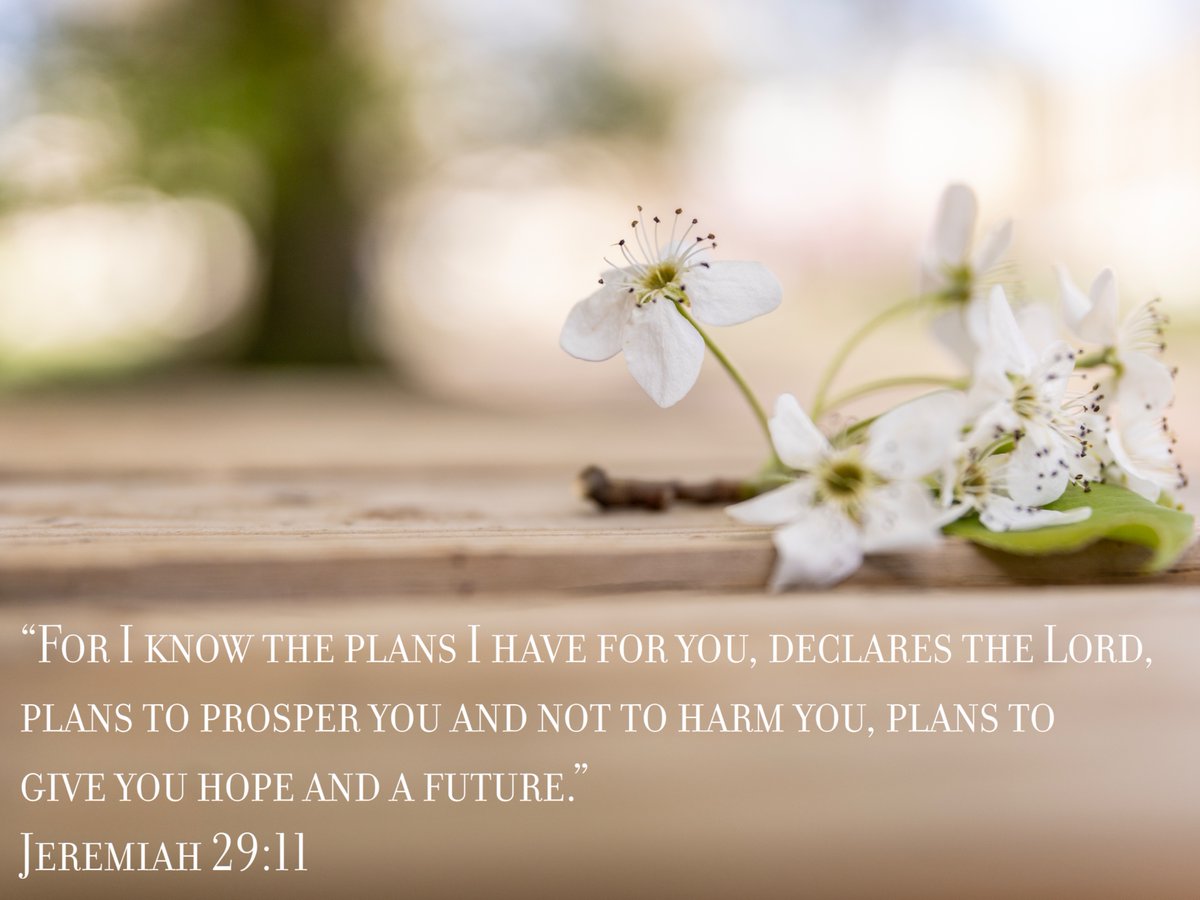 As our graduates step into a new chapter, we rest in the promise that God’s plans are full of hope and purpose.
"For I know the plans I have for you," declares the Lord... – Jeremiah 29:11 💜