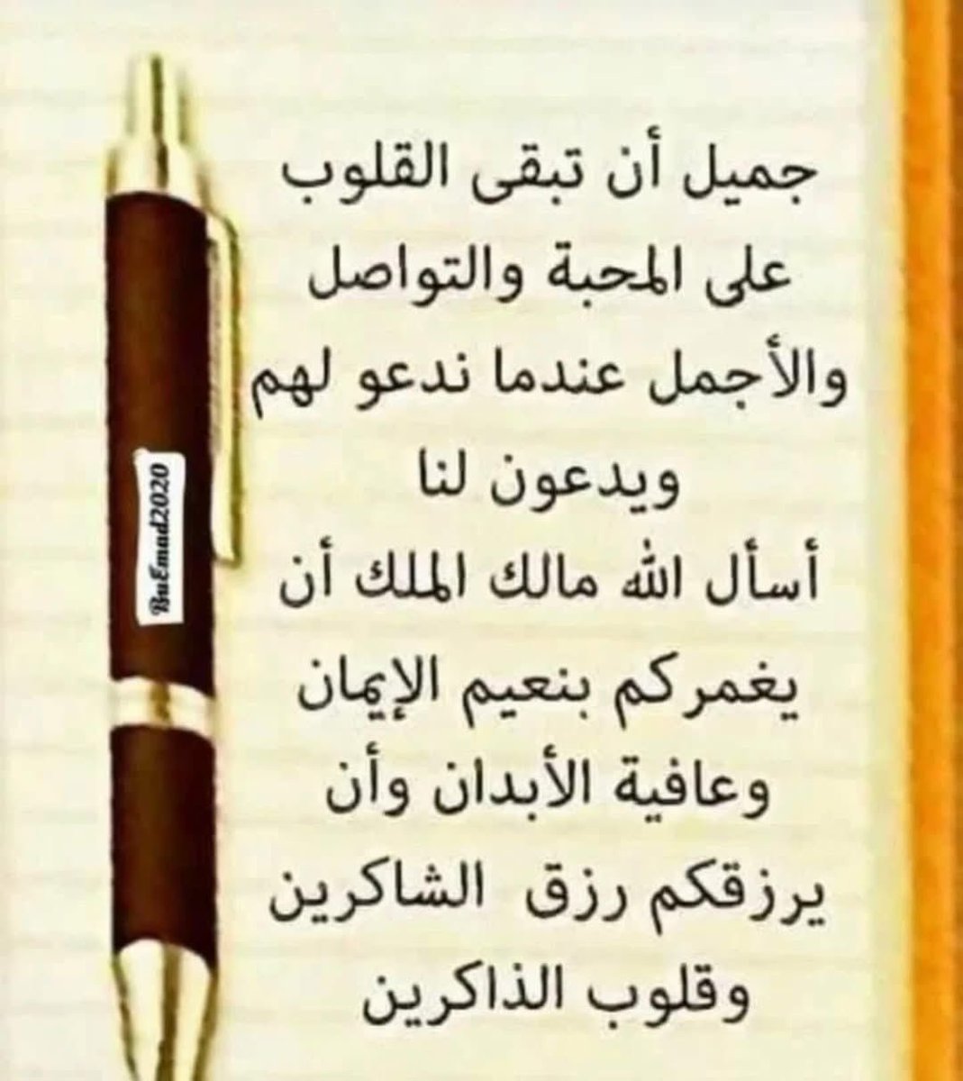 يحيى الأحمري (@yylmry12) on Twitter photo 