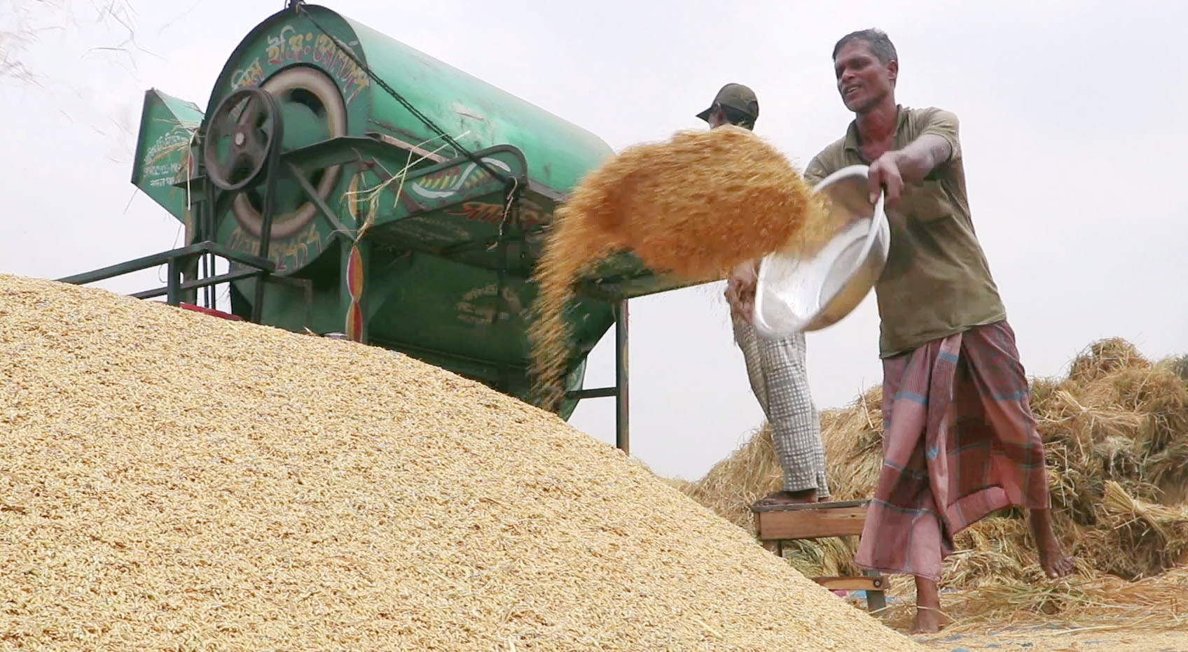 নওগাঁয় ধানের ভালো ফলনেও হাসি নেই চাষিদের মুখে