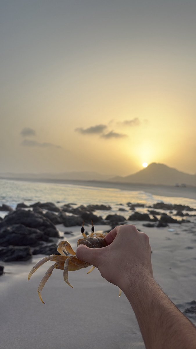 m9wali's tweet image. كت تويت ستريكات الاسبوع خلا وانا ببدأ 🫡✨