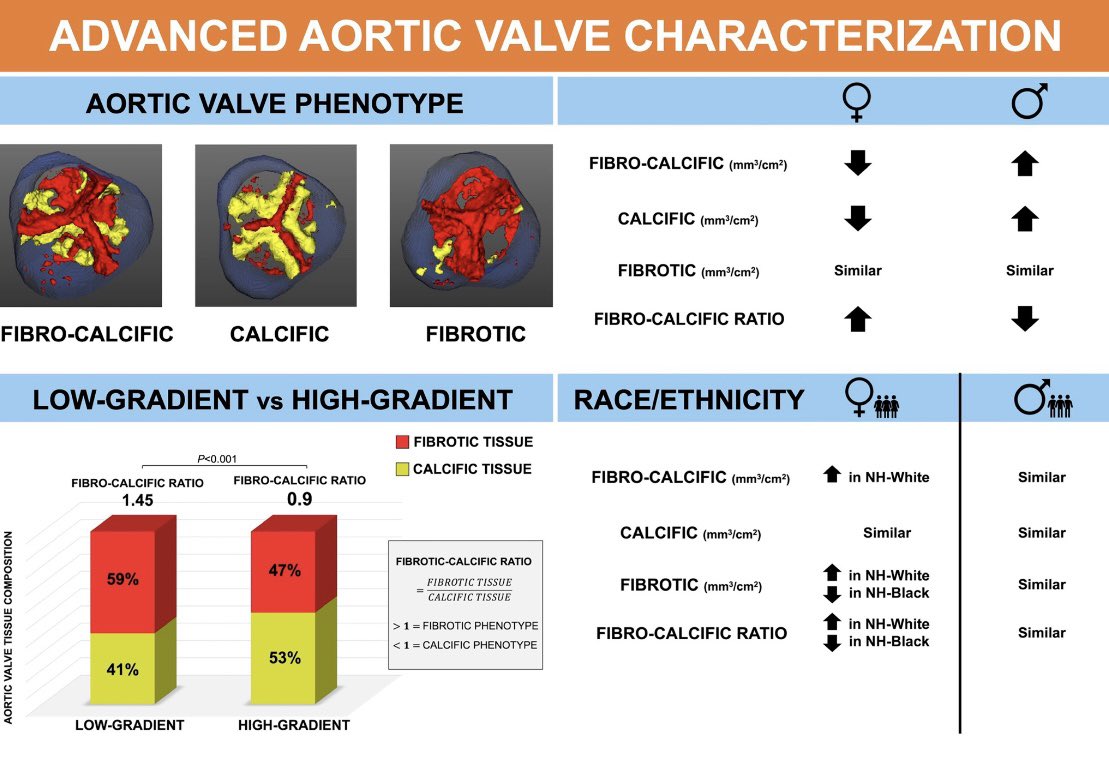 Annalisa Filtz (@analyzef) on Twitter photo 📣 Check out our latest work on Advanced CT Aortic Valve Characterization just published on <a href="/CircImaging/">CircImaging</a>
A wonderful collaboration with <a href="/danilorenzatti/">Daniel Lorenzatti, MD.</a> and our 💫 Team! <a href="/CardioMDPhD/">Leandro Slipczuk</a>
🔗 ahajournals.org/doi/10.1161/CI…
<a href="/MonteHeart/">Montefiore Heart</a> <a href="/MontefioreNYC/">Montefiore Health System</a> 📣 Check out our latest work on Advanced CT Aortic Valve Characterization just published on <a href="/CircImaging/">CircImaging</a>
A wonderful collaboration with <a href="/danilorenzatti/">Daniel Lorenzatti, MD.</a> and our 💫 Team! <a href="/CardioMDPhD/">Leandro Slipczuk</a>
🔗 ahajournals.org/doi/10.1161/CI…
<a href="/MonteHeart/">Montefiore Heart</a> <a href="/MontefioreNYC/">Montefiore Health System</a>