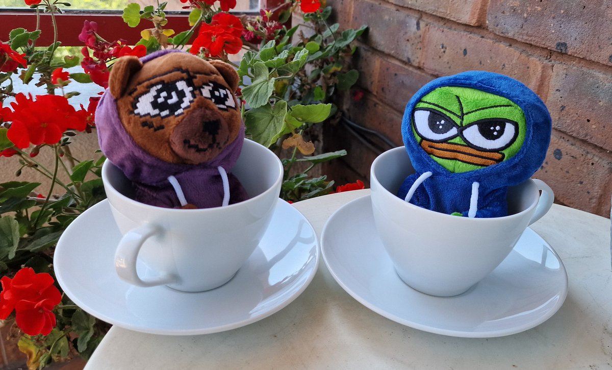 GM ☕️ 🐸 #TGIF

Plushie cobbee party... pocket sized #SMOWL fun by <a href="/queen_pepe/">QueenPepe㊙️</a>