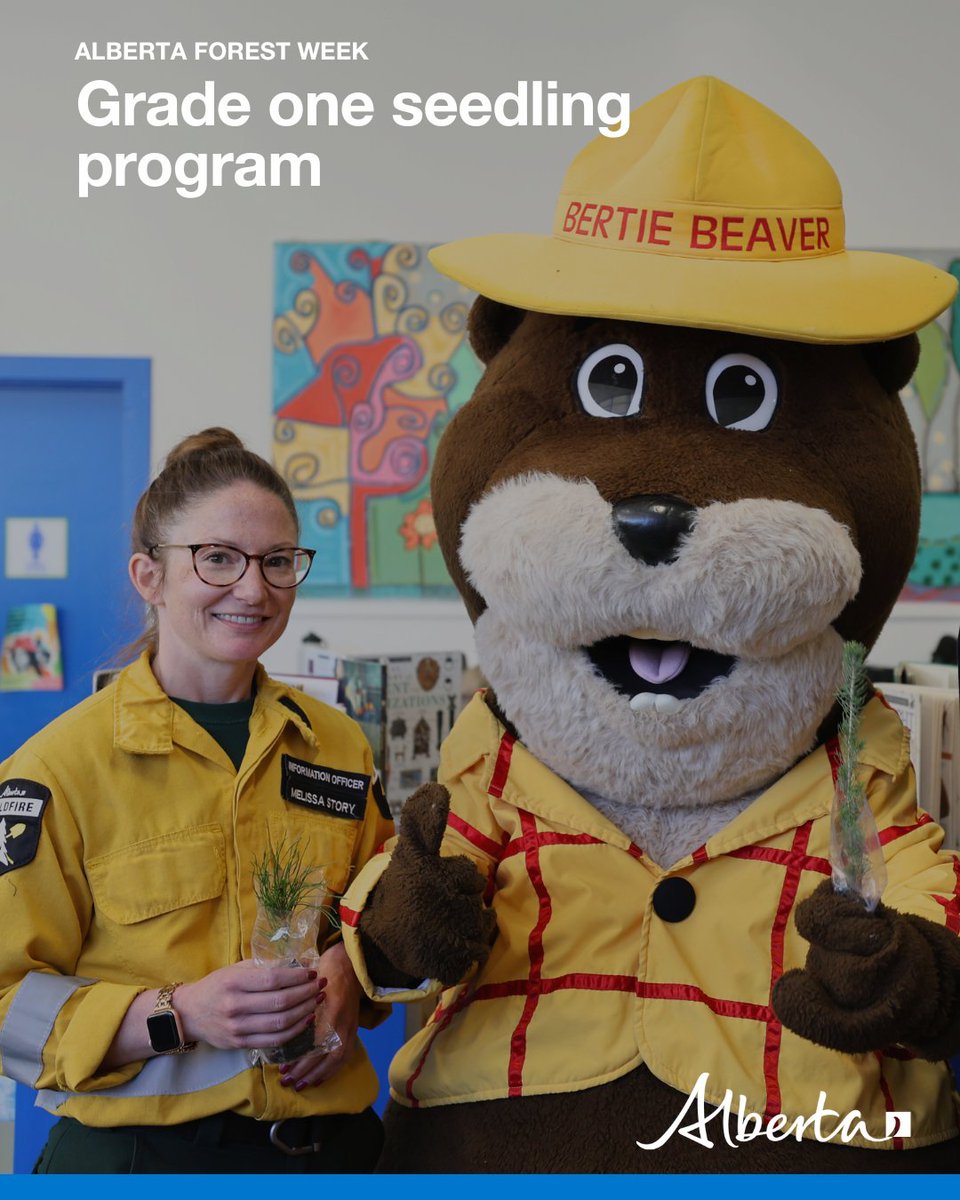 Educating youth about Alberta’s forests is an important way to help them appreciate the value they add to our lives. During Alberta Forest Week, 45,000 white spruce and 25,000 lodgepole pine seedlings are distributed through the Grade 1 seedling program.  alberta.ca/alberta-forest…