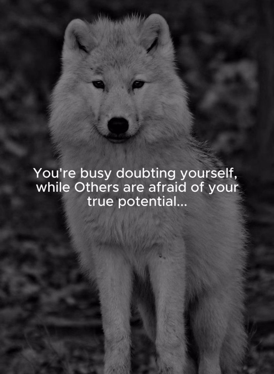 MindWisdomMoney's tweet photo. https://t.co/geopbHiUgl