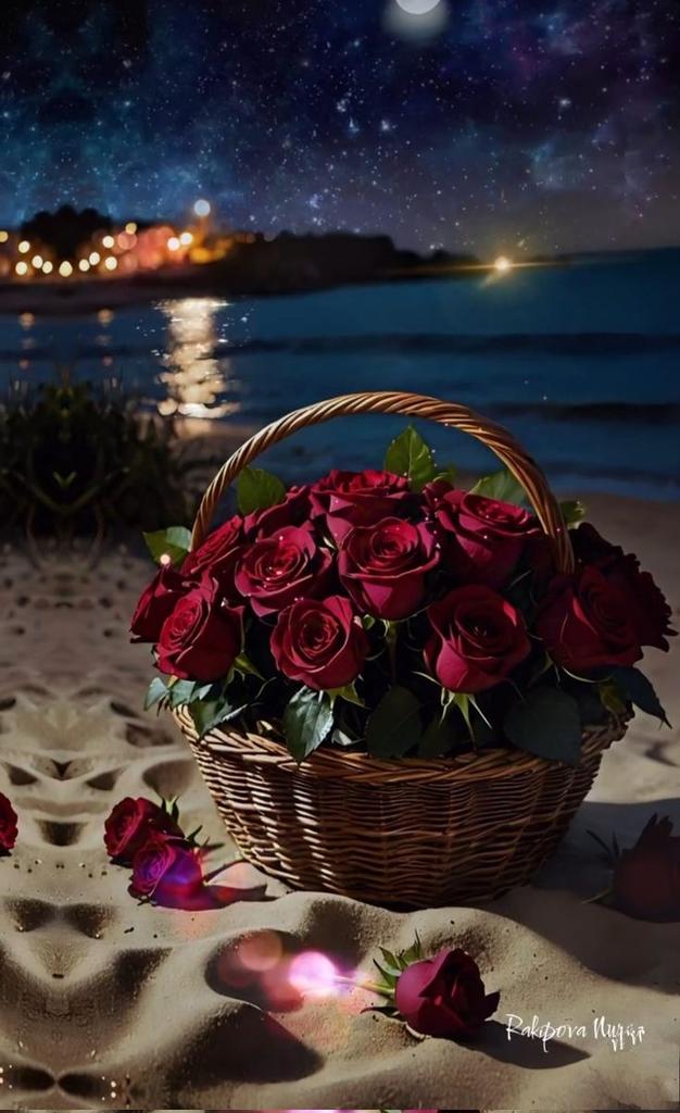 Good night
X family's