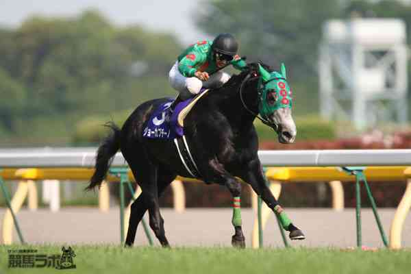 カプチーノで天へ祈りを】 09年5月10日、NHKマイルカップ。勝ったのは