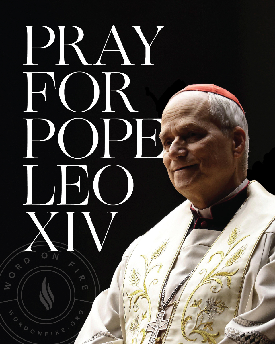 BishopBarron's tweet image. Friends, please join me in continued prayer for the newest successor of Peter.