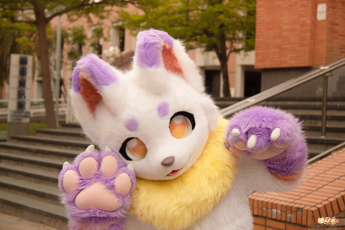 裝可愛第一名

#FursuitFriday