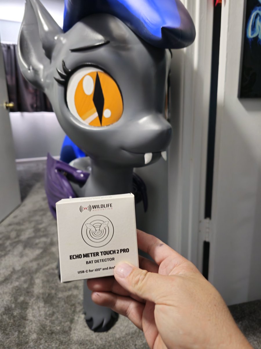 Echo π π¦ π₯ (@batponyecho) on Twitter photo Echo detected, bat meter works great. Echo detected, bat meter works great.