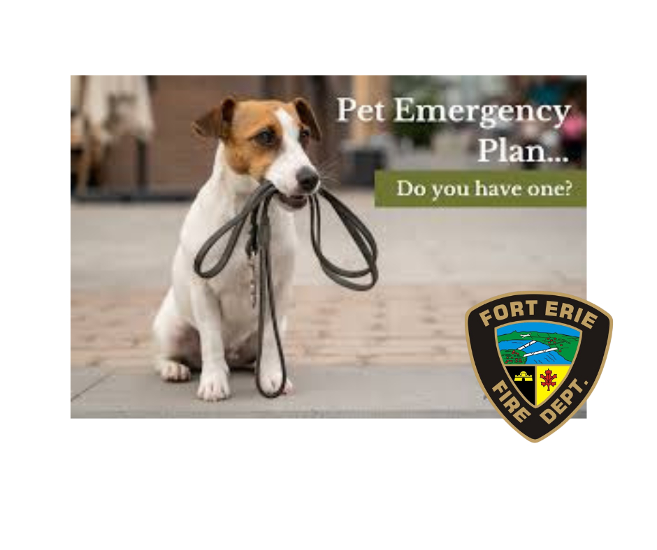 Emergency Preparedness Week in Ontario May 4-10, 2025

Pets are members of the household. Make sure to include your pets when developing
your emergency plan. Making arrangements before an emergency will increase your pet’s
chances for survival and ability to cope.