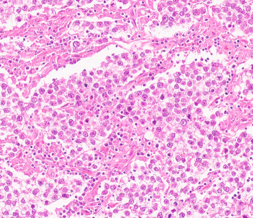 Virtual Pathology at The University of Leeds tweet media