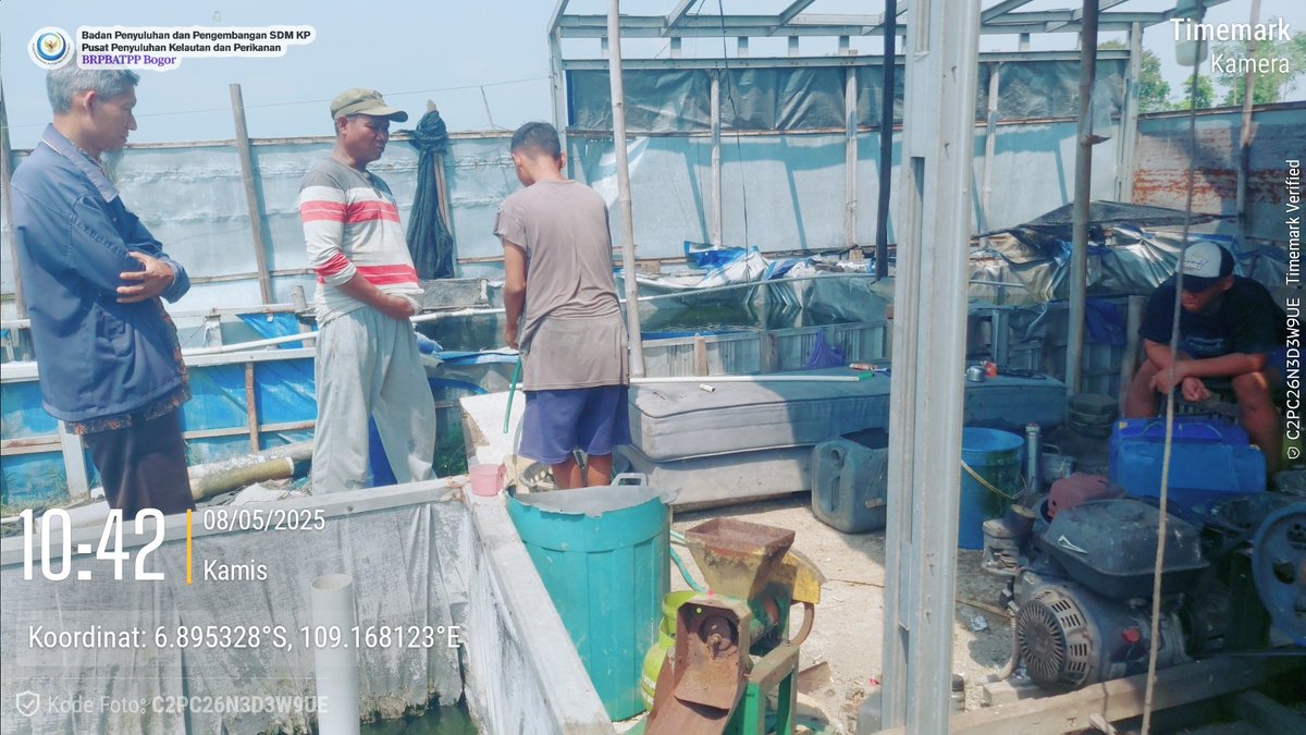 sugi_tanto's tweet photo. Kamis (8/5/25) Sugi H Luhkan Kab Tegal, Anjangsana dan pendataan produksi panen lele 760 kg/bln Rp 20rb/kg dikolam pembesaran milik bpk Siswanto ds pacul kec Talang. #GiatLuhkanSatminkalBogor #PenyuluhPerikanan @diskankabtegal @brpbatpp_bogor #luhlapor @sisilaintegal #talang https://t.co/VJOB2z55pD