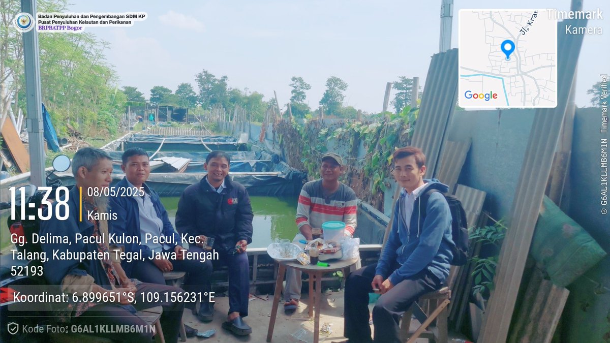 sugi_tanto's tweet photo. Kamis (8/5/25) Sugi H Luhkan Kab Tegal, Anjangsana dan pendataan produksi panen lele 760 kg/bln Rp 20rb/kg dikolam pembesaran milik bpk Siswanto ds pacul kec Talang. #GiatLuhkanSatminkalBogor #PenyuluhPerikanan @diskankabtegal @brpbatpp_bogor #luhlapor @sisilaintegal #talang https://t.co/VJOB2z55pD
