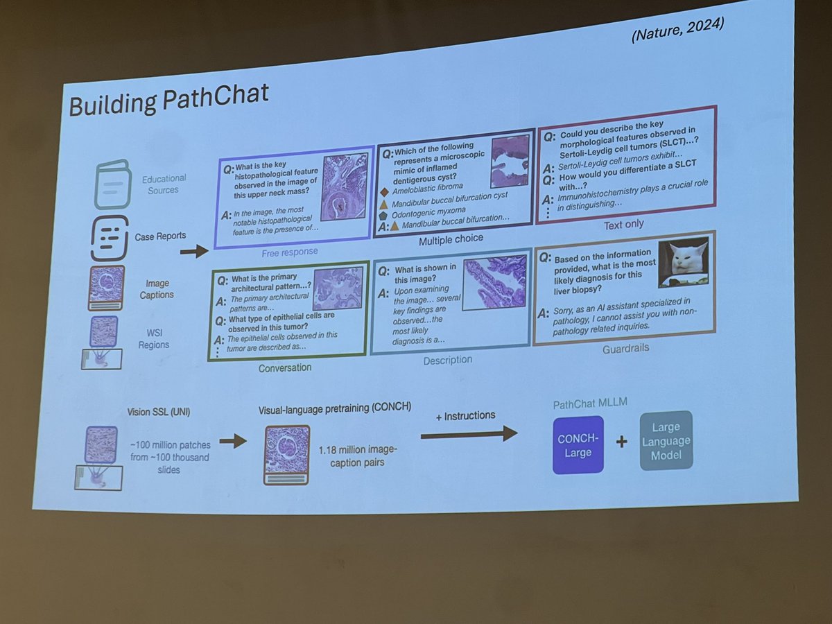 Helena Linardou (@elinardouhelena) on Twitter photo Visionary lecture from Faisal Mahmood here at #AIforOncology in Milan 🚀 strong FMs=diverse+multimodal data, autonomous AI agents revolutionise computational biomedicine! Wow! A brave new world, the future is here now! 🤩
<a href="/ESAC_cancerAI/">EU Interdisc. Society of AI for Cancer Research</a> <a href="/myESMO/">ESMO - Eur. Oncology</a> <a href="/oncodaily/">OncoDaily</a> <a href="/OncoAlert/">OncoAlert</a> <a href="/HeSMO_X/">ΕΟΠΕ</a> Visionary lecture from Faisal Mahmood here at #AIforOncology in Milan 🚀 strong FMs=diverse+multimodal data, autonomous AI agents revolutionise computational biomedicine! Wow! A brave new world, the future is here now! 🤩
<a href="/ESAC_cancerAI/">EU Interdisc. Society of AI for Cancer Research</a> <a href="/myESMO/">ESMO - Eur. Oncology</a> <a href="/oncodaily/">OncoDaily</a> <a href="/OncoAlert/">OncoAlert</a> <a href="/HeSMO_X/">ΕΟΠΕ</a>