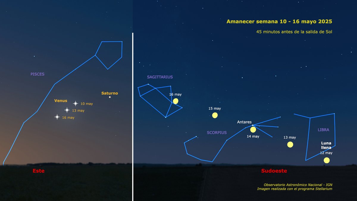 Si miras el cielo antes de que salga el Sol, puedes ver a Venus y Saturno salir por el este cerca del horizonte. Por el oeste, la Luna casi llena se estará poniendo después de brillar en el cielo toda la noche. El día 14 la verás muy cerca de la brillante estrella Antares.