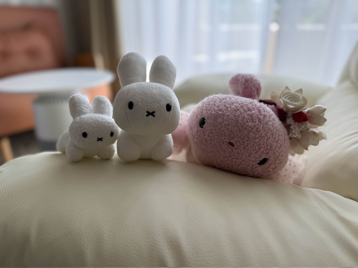 nui_momo's tweet photo. ちょっとまえのたびのしゃしんー https://t.co/yRfehCT92y