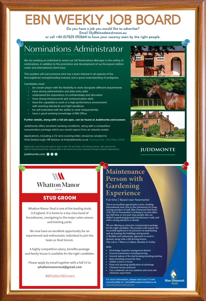EBN (@bloodstocknews) on Twitter photo ❓Are you looking for a new challenge or to further your career ❓
Check out this week's JOB BOARD:
🔶 Nominations Administrator - <a href="/JuddmonteFarms/">Juddmonte</a>
🔶 Stud Groom - <a href="/whattonmanor/">Whatton Manor Stud</a>
🔶 Maintenance Person with Gardening Experience - <a href="/BlueDiamondStd/">Blue Diamond Stud</a>
See below for more information ⬇️ ❓Are you looking for a new challenge or to further your career ❓
Check out this week's JOB BOARD:
🔶 Nominations Administrator - <a href="/JuddmonteFarms/">Juddmonte</a>
🔶 Stud Groom - <a href="/whattonmanor/">Whatton Manor Stud</a>
🔶 Maintenance Person with Gardening Experience - <a href="/BlueDiamondStd/">Blue Diamond Stud</a>
See below for more information ⬇️