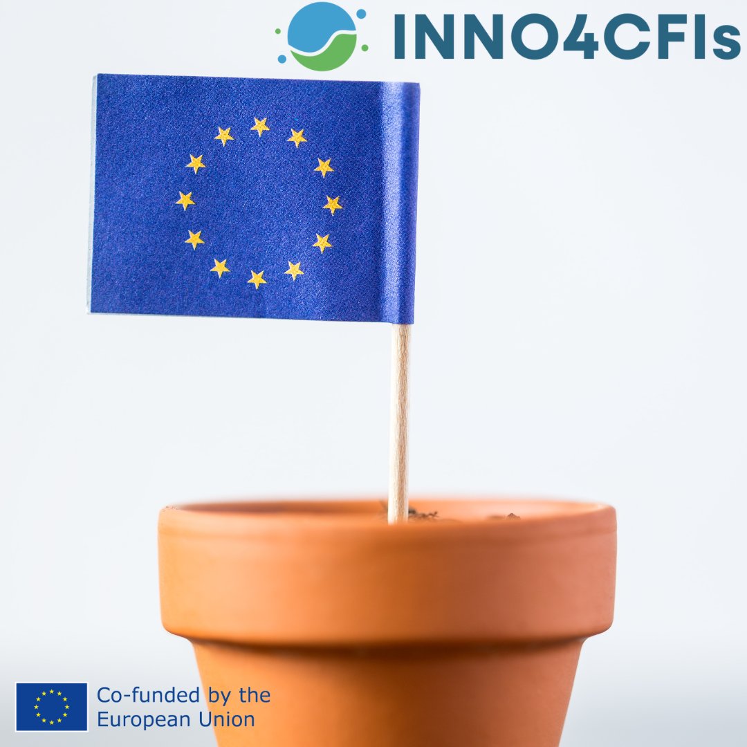 🇪🇺 Happy #EuropeDay!
At #INNO4CFIs, we celebrate unity, peace &amp; innovation across borders. Together, we’re shaping smarter climate finance solutions for a greener Europe. 💚🌍
#SustainableFinance #GreenTransition #CFIs #EU #I3instrument