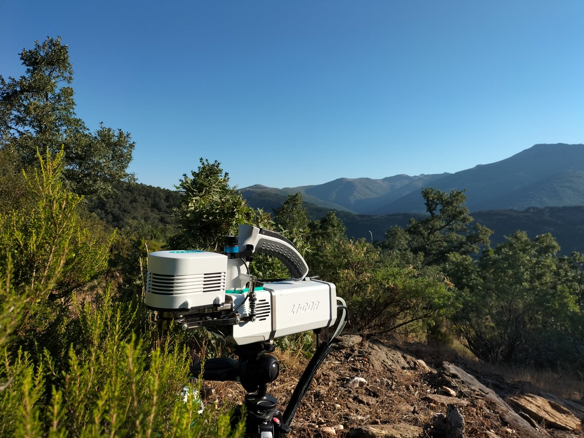 In our new publication we show that drought stress constrains the diversity of whole-plant water use strategies in Mediterranean plant communities. <a href="/iprietoaguilar/">Iván Prieto Aguilar</a> <a href="/FranjaNaranja/">Fran</a> <a href="/NatureComms/">Nature Communications</a> nature.com/articles/s4146…