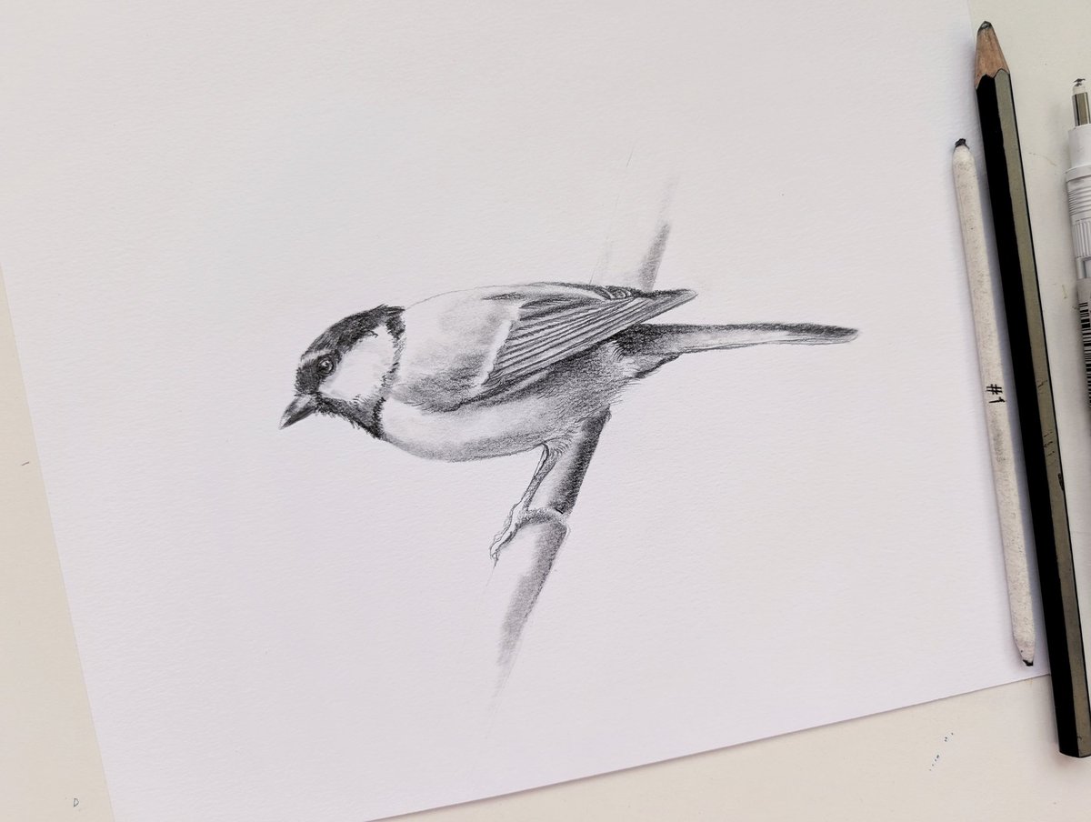 Voor het dierenartsfonds van mijn luxepoes:

50 euro (ex verz) voor een a5 tekening in grafiet. Jij mag de vogel (of dier mits haalbaar) aangeven. Optie tot eventuele fooi mogelijk. 

DM staat open! Zeer beperkt plek. Vol = vol!

Delen is fijn