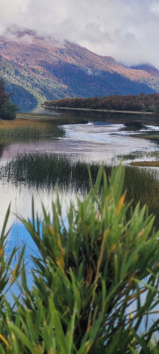 Los paisajes de la ruta de los 7 Lagos, cambian con la llegada del Otoño, sin perder su belleza 🙌🍁🍂✨🇦🇷

Fotos de Rosana Casarin.
