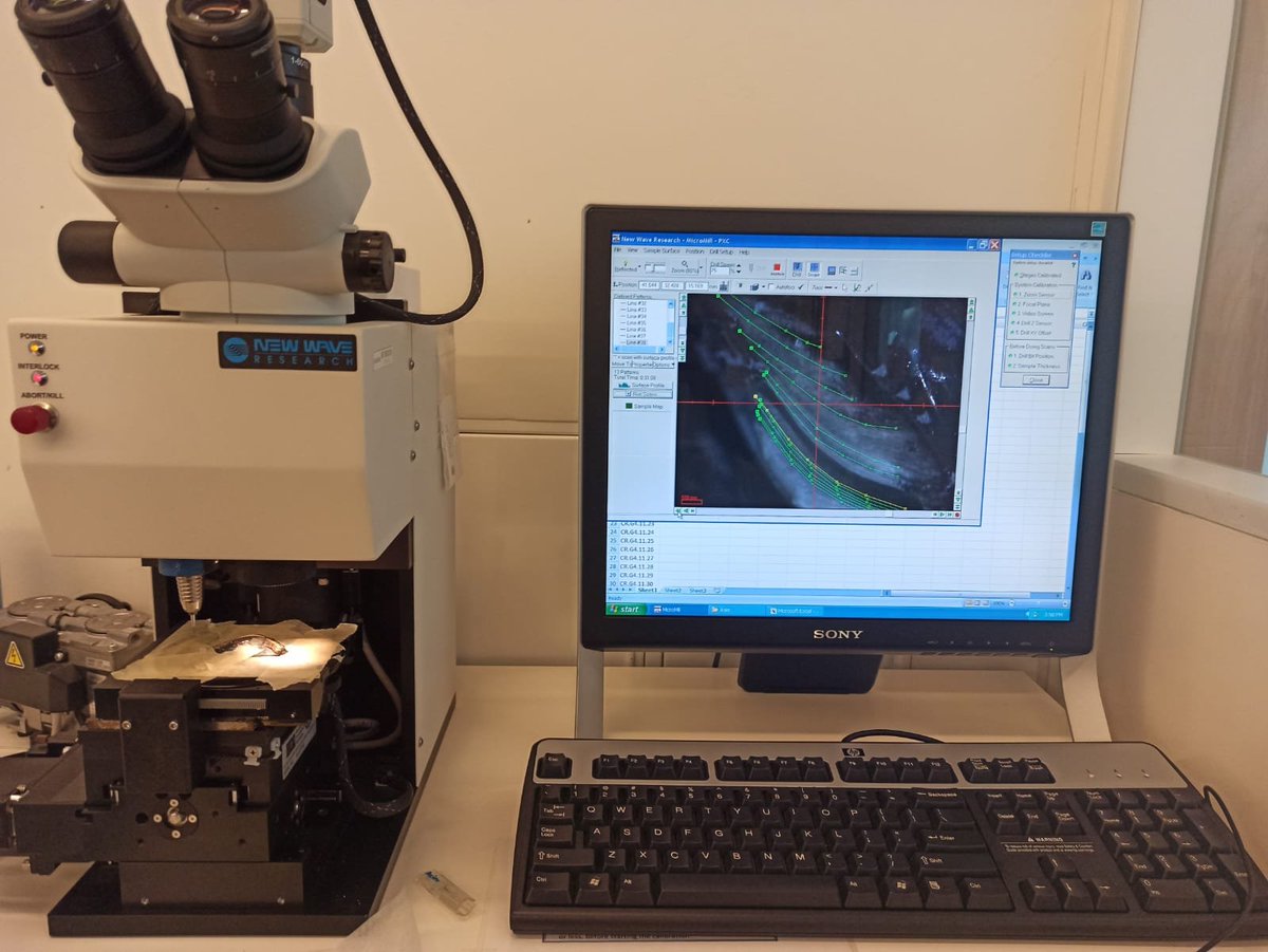 asierge's tweet image. Esta semana hemos estado en el @CENIEH muestreando conchas paleolíticas de yacimientos del Valle del Sella (Asturias), mediante el uso de una MicroMill 🐚🔬
El trabajo forma parte de la investigación predoctoral de Alberto Marchán Fernández (@prehusal, @GeoHistoUsal). 📸⬇️