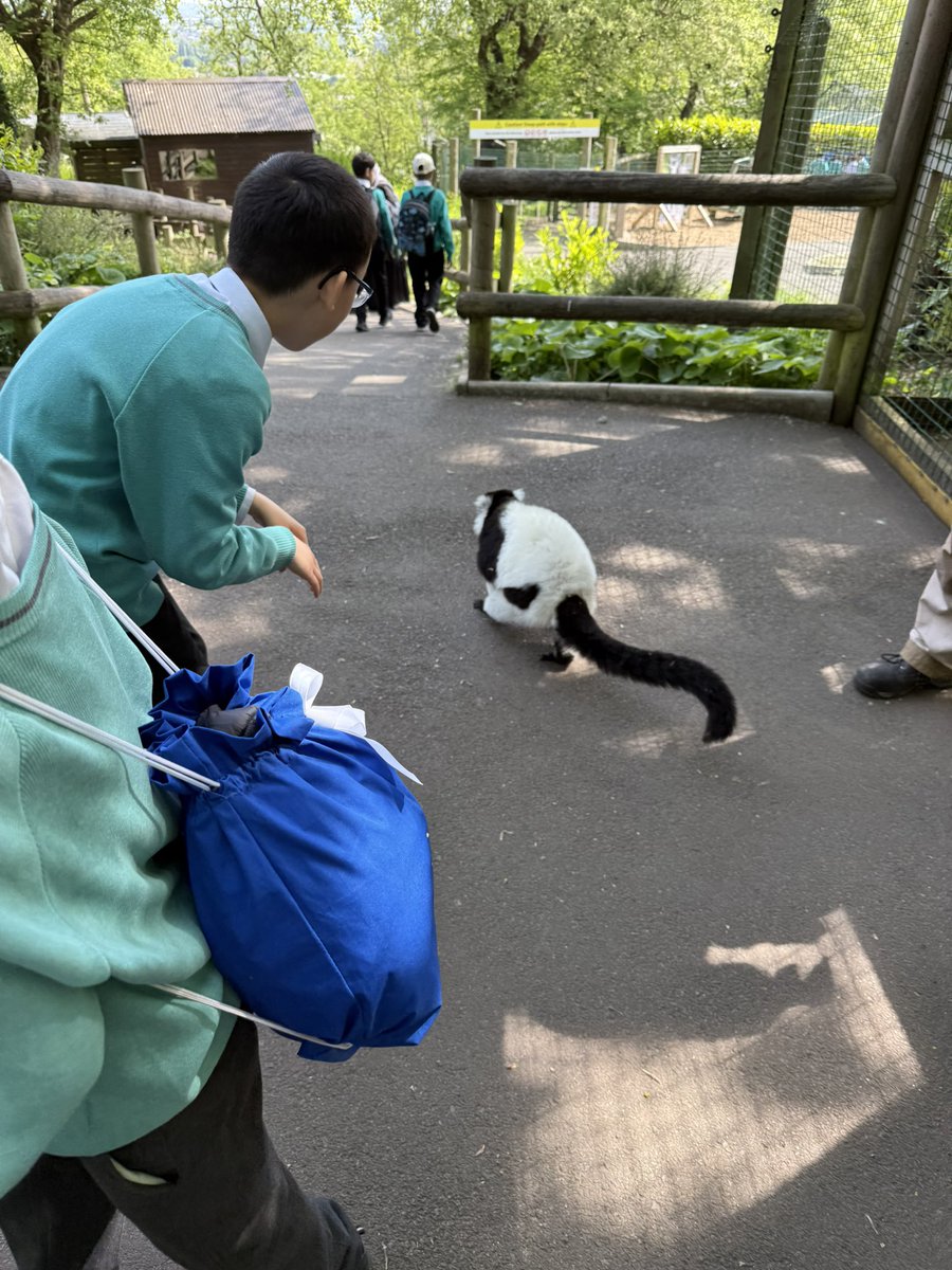AliTindal's tweet photo. Year 5 are having a zoo-tastic time at @dudleyzoo. We have looked at and learnt some new facts about differnet  animals including their life cycles! #AnimalsincludingHumans #Science #Habitats #Lifecycle https://t.co/spG1QmIrUN