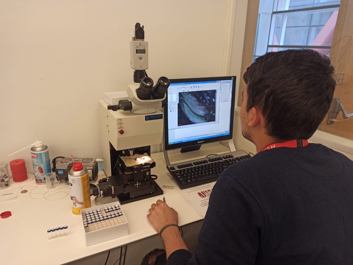 asierge's tweet image. Esta semana hemos estado en el @CENIEH muestreando conchas paleolíticas de yacimientos del Valle del Sella (Asturias), mediante el uso de una MicroMill 🐚🔬
El trabajo forma parte de la investigación predoctoral de Alberto Marchán Fernández (@prehusal, @GeoHistoUsal). 📸⬇️