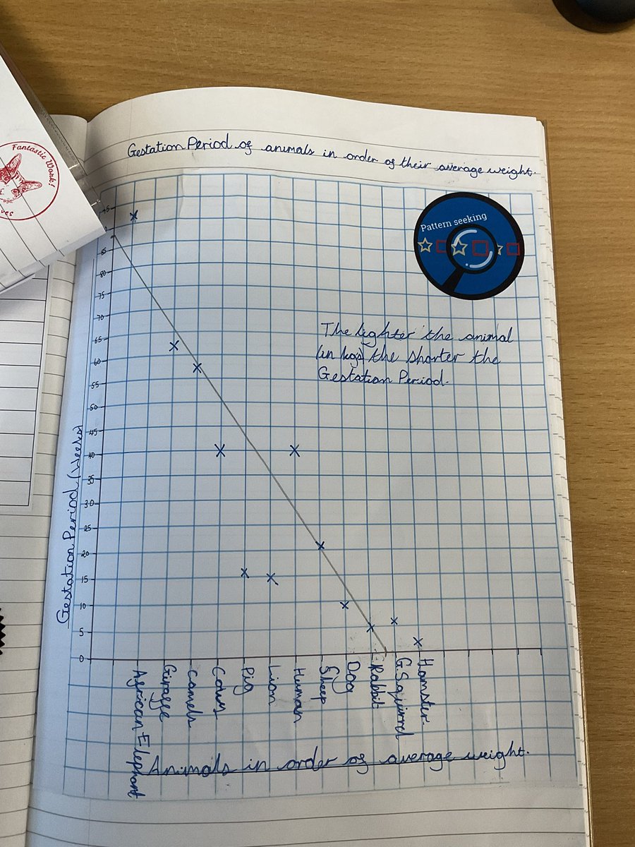 MarshfieldPS's tweet image. The children in Y5 Steve Irwin class used their Maths skills in Science today when seeking patterns between animal weight and gestation periods! Here are some that caught the eye of Mr Perkins and Miss Kearns! #Ambition #WowWork #MPSScience #CrossCurricular
