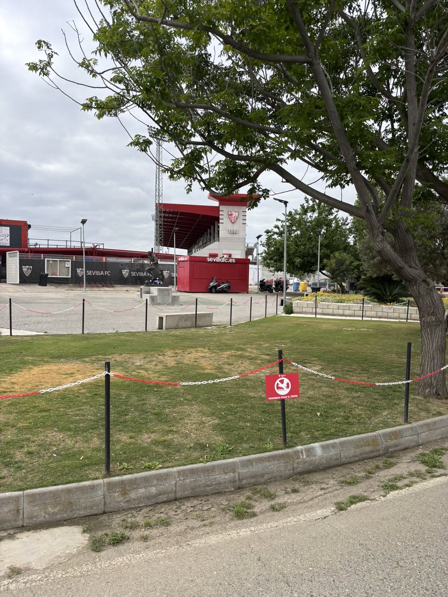 Nathan Rooney ๐ (@nathanrooney89) on Twitter photo Great morning spent <a href="/SevillaFC/">Sevilla Fรบtbol Club</a>
Thankful for the numerous of opportunities to observe and connect over the last two seasons ๐ดโช๏ธ
#development
#LaLiga Great morning spent <a href="/SevillaFC/">Sevilla Fรบtbol Club</a>
Thankful for the numerous of opportunities to observe and connect over the last two seasons ๐ดโช๏ธ
#development
#LaLiga