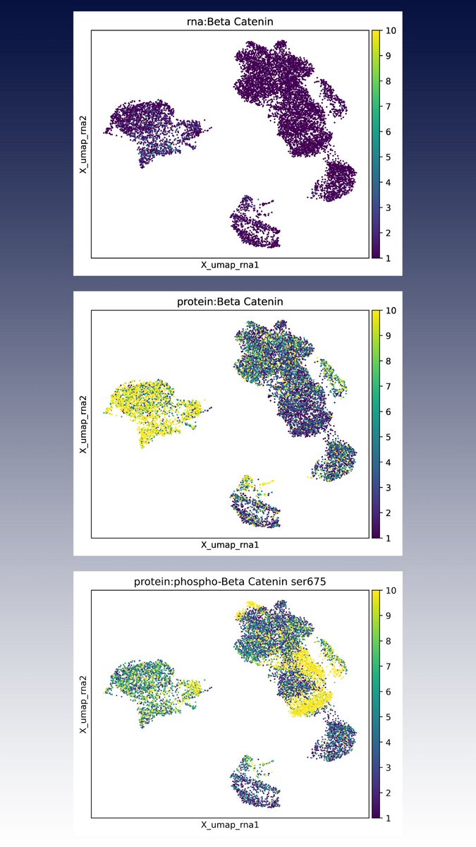 Proteintech Group (@proteintech) on Twitter photo Have you heard about The Human Discovery Panel from Proteintech Genomics?
🧬 Profiles cell surface, cytoplasmic & intranuclear proteins
🔗 Compatible with <a href="/10xGenomics/">10x Genomics</a> Flex
💰 1/3 of the cost of the leading competitor panel with no compromises
ptglab.com/products/Multi… Have you heard about The Human Discovery Panel from Proteintech Genomics?
🧬 Profiles cell surface, cytoplasmic & intranuclear proteins
🔗 Compatible with <a href="/10xGenomics/">10x Genomics</a> Flex
💰 1/3 of the cost of the leading competitor panel with no compromises
ptglab.com/products/Multi…