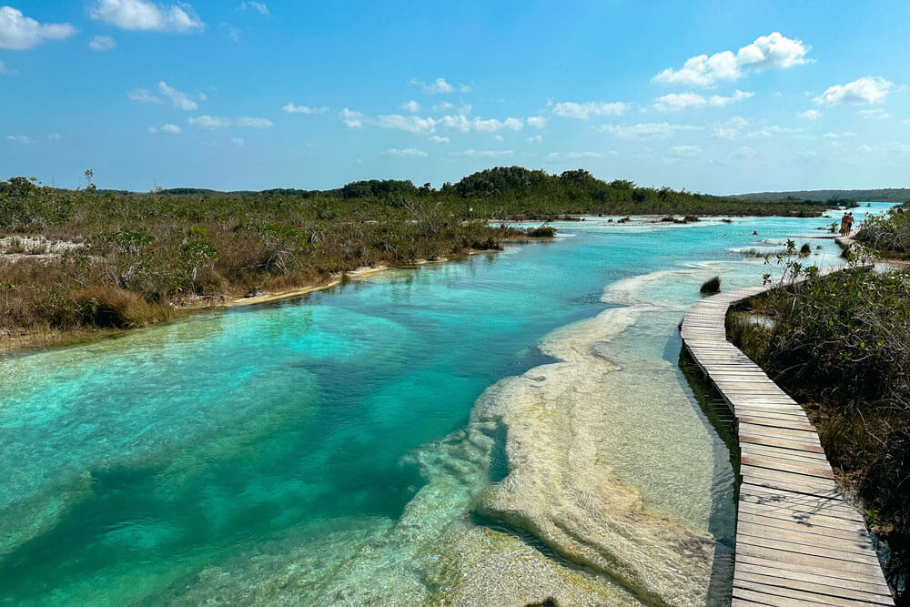 Vanessa ๐ She Wanders Miles (@wandersmiles) on Twitter photo ๐ฒ๐ฝ Famed for the โLagoon of Seven Coloursโ, Bacalar is quickly becoming one of the best places to visit in Mexicoโs Yucatรกn Peninsula.
๐ READ this Bacalar Mexico Travel Guide => bit.ly/BacalarMX
#Bacalar #MexicoTravel <a href="/WeVisitMexico/">Visit Mexico</a> #VisitMexico #MexicoBetterThanEver ๐ฒ๐ฝ Famed for the โLagoon of Seven Coloursโ, Bacalar is quickly becoming one of the best places to visit in Mexicoโs Yucatรกn Peninsula.
๐ READ this Bacalar Mexico Travel Guide => bit.ly/BacalarMX
#Bacalar #MexicoTravel <a href="/WeVisitMexico/">Visit Mexico</a> #VisitMexico #MexicoBetterThanEver