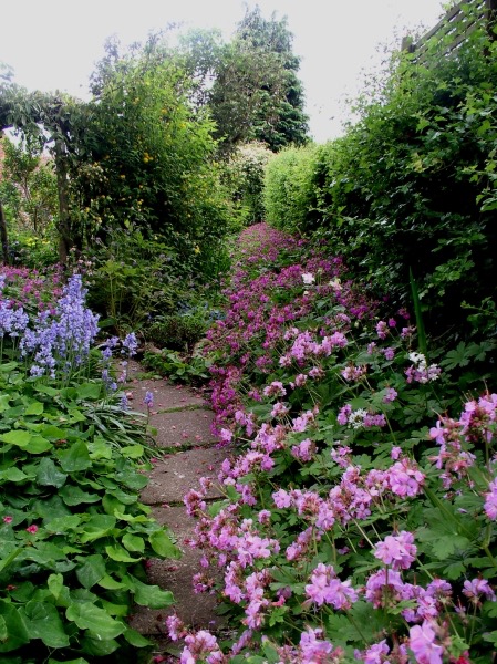 OPEN SUNDAY 11th MAY 10.30-3.30
Woodlands
Peppin Lane, Fotherby, LN11 0UW
Renowned for rich planting of shaded beds, but also salvias. RHS listed nursery. The new crevice garden. Award winning artist's studio. Specialist collection of Codonopsis with Plant heritage status. #NGS