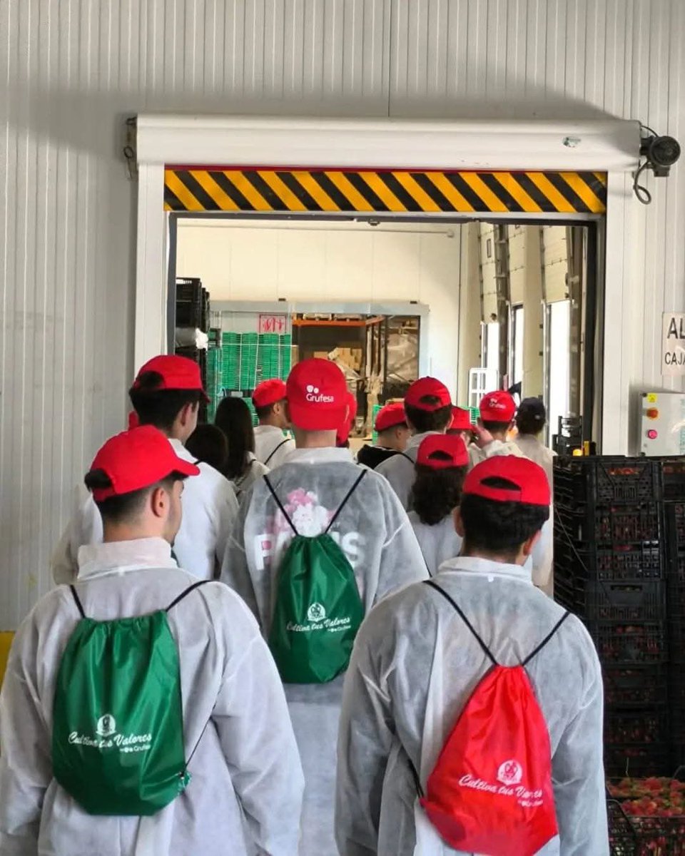 Los frutos rojos son fuente de empleo y riqueza y así lo han comprobado alumnos del 𝐈𝐄𝐒 La Campiña de Beas que nos han visitado, dentro del proyecto promovido por Cooperativas Agro-alimentarias de Andalucía para divulgar el modelo del cooperativismo agroalimentario.