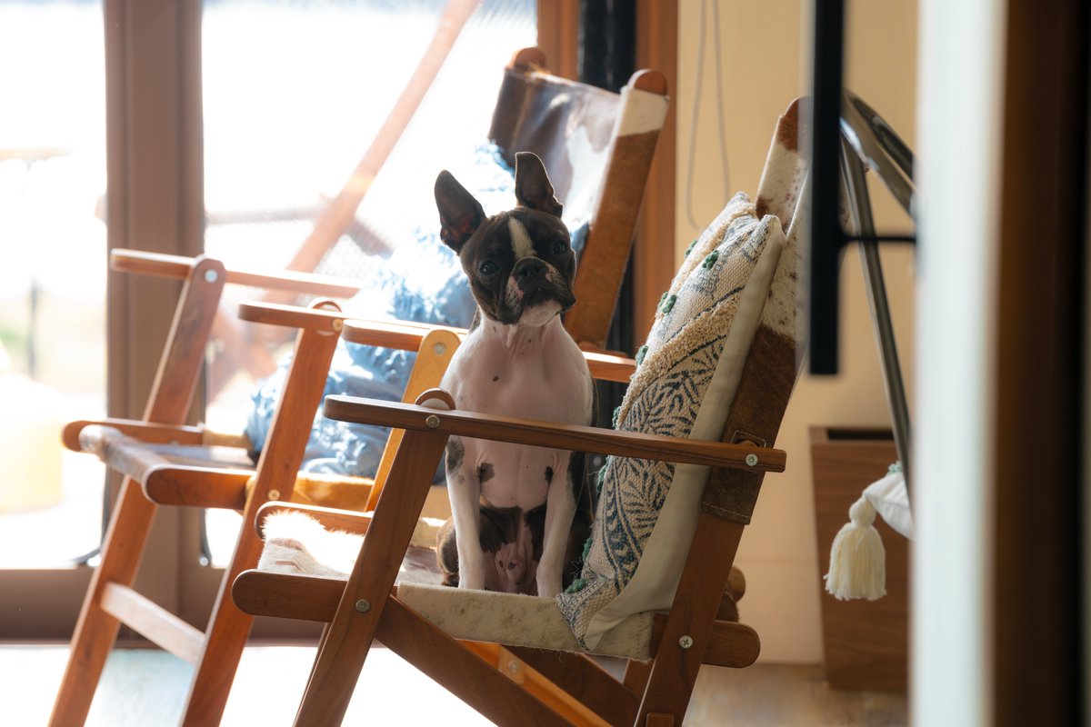 ＼ただいま準備中。。💭／

5/16(金)いよいよファイナル！

#三木孝浩 監督 Q&amp;Aトークイベント付上映
詳細は5/12(月)18時にお知らせします📢

皆さま、ぜひチェックしてください！🍿

#知らないカノジョ