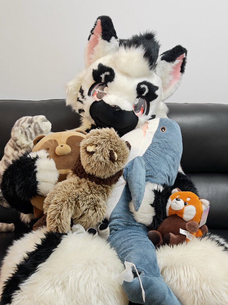 好多好多可爱的玩偶w
 #FursuitFriday