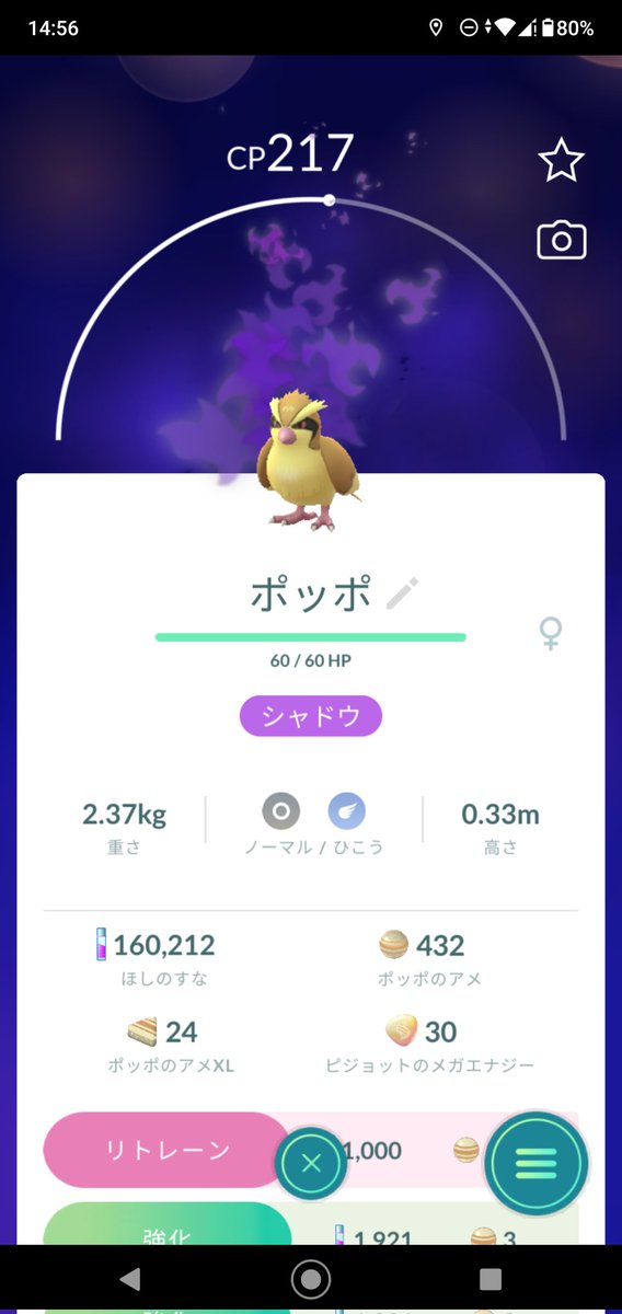 sakuyahapi's tweet photo. 本日はスロースタートの為
シャドウは2体でした☺️
夕方はリーダー戦でしたが
今回は1回で倒せました☺️
🎁関連は可能な範囲で終えました
この後の補充は明日になりそうなので
今日のポケモンGOは終了します
ゆるゆるですが
よろしくお願いします☺️
＃ポケモンGO　＃シャドウ
＃ポッポ　＃スコルピ https://t.co/T3xnz0M7RB