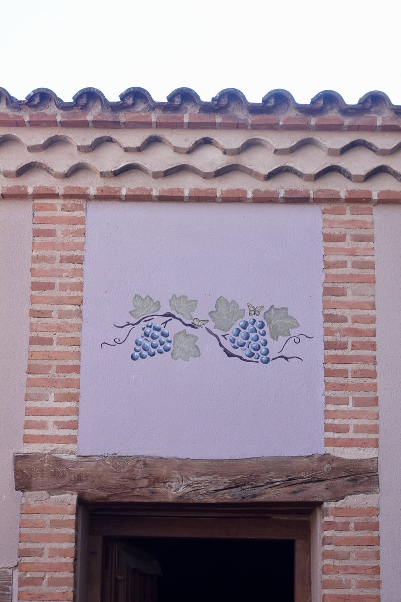 🍇 A ti, noble Tempranillo, alma de nuestras cepas y esencia de cada copa, te debemos la elegancia, el carácter y la pasión que dan vida a nuestros vinos🍷

barcolasculebras.com