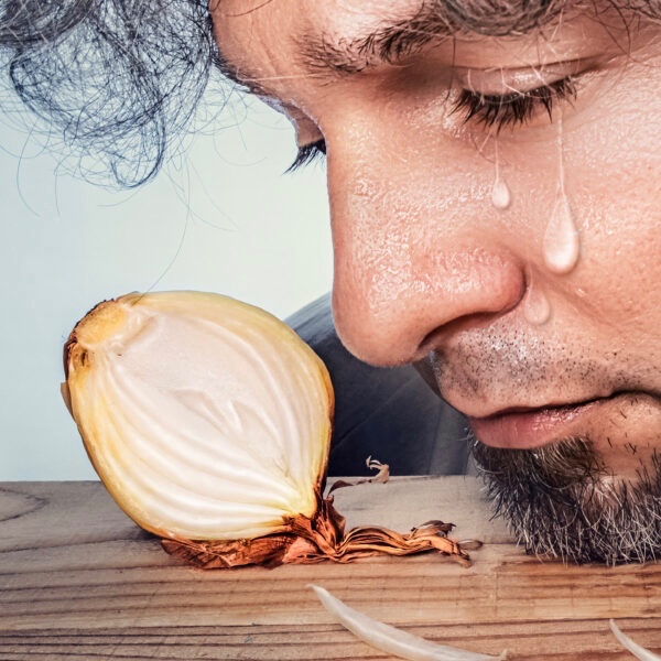 Hier, <a href="/MinisterAenM/">Ministers Asiel en Migratie</a>. Nog een uitje. 😭 #Faber