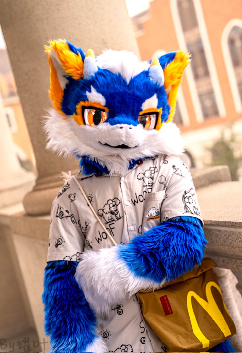 #FursuitFriday

醒醒~你已经发呆看我好一会了哦

📸耀叶