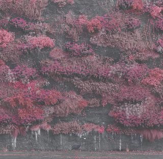 We have a new No1⃣
billy woods "GOLLIWOG"
"billy woods reflects on race and class through surrealist, horror-inspired soundscapes" 10/10 - <a href="/theskinnymag/">The Skinny</a> 
➡️ bit.ly/3x7CcUb

🙏 You can support what we do to promote great new music <a href="/Patreon/">Patreon</a>
bit.ly/2EgyWrRJ