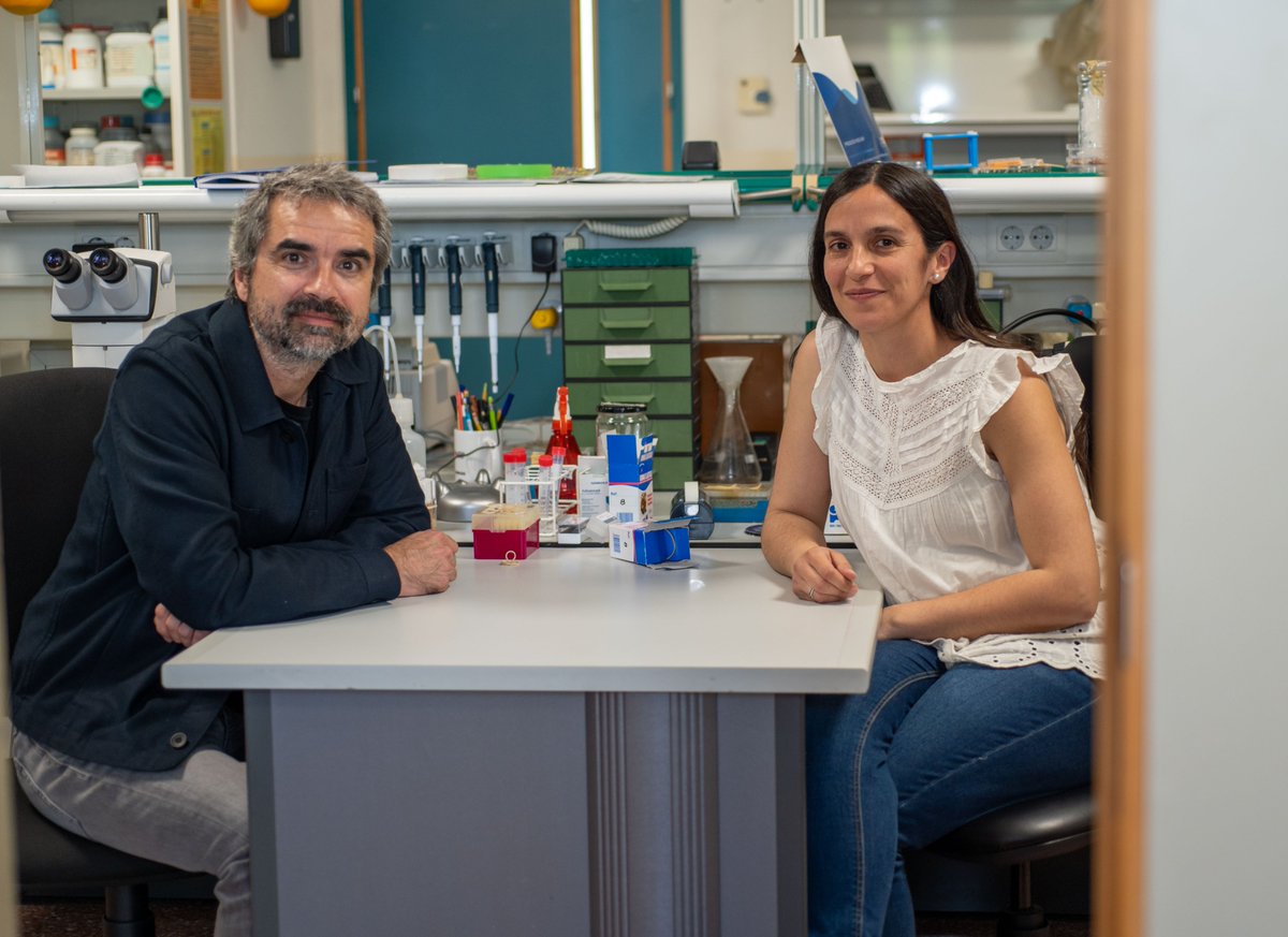 Instituto de Neurociencias UMH-CSIC (@neuroalc) on Twitter photo El equipo del investigador Javier Morante <a href="/Morante_Lab/">Javier Morante</a> participa en un estudio pionero sobre el #SOP financiado por <a href="/la_marato/">La Marató de 3Cat</a> . El objetivo del proyecto es avanzar en el diagnóstico precoz del #SOP mediante el uso de modelos animales y humanos 👇
in.umh-csic.es/es/javier-mora… El equipo del investigador Javier Morante <a href="/Morante_Lab/">Javier Morante</a> participa en un estudio pionero sobre el #SOP financiado por <a href="/la_marato/">La Marató de 3Cat</a> . El objetivo del proyecto es avanzar en el diagnóstico precoz del #SOP mediante el uso de modelos animales y humanos 👇
in.umh-csic.es/es/javier-mora…