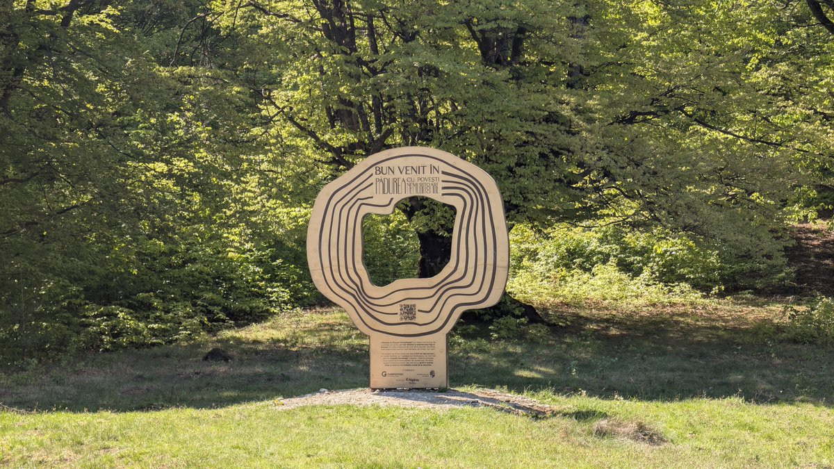 ForestsWF's tweet image. Our founder Nico &amp;amp; colleague Ion visited singer Silvia Dan in her village of Nucșoara 🇷🇴 during a trip with Foundation Conservation Carpathia 🌲 They gifted her an adopted beech tree via Arbori cu Povești – each tree tells a story 🌳✨ #Interbeing #TreeStories #Reforest
