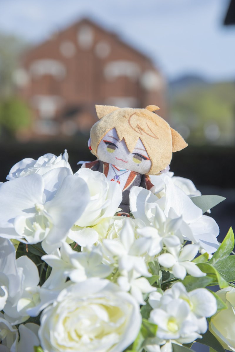 79jdl's tweet photo. そういえば！結婚式のときにぱぺのお写真撮ってもらったのだったわ☺️💕 https://t.co/8g0Pp31yns
