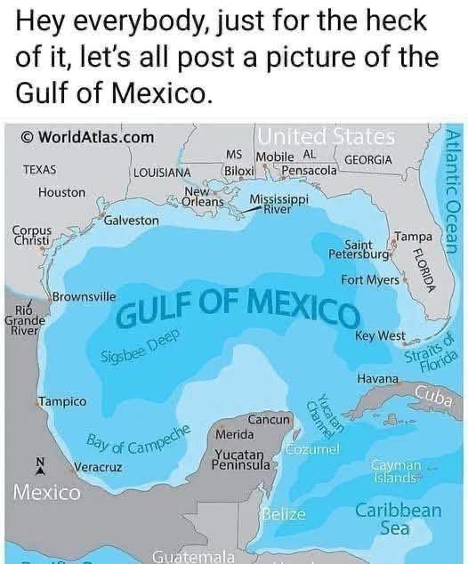 Gene Trevino (@genoveno73) on Twitter photo <a href="/RepNancyMace/">Rep. Nancy Mace</a> It has been, it is now, and it will forever be, the Gulf of Mexico you stupid bitch <a href="/RepNancyMace/">Rep. Nancy Mace</a>
👇👇👇👇👇 <a href="/RepNancyMace/">Rep. Nancy Mace</a> It has been, it is now, and it will forever be, the Gulf of Mexico you stupid bitch <a href="/RepNancyMace/">Rep. Nancy Mace</a>
👇👇👇👇👇