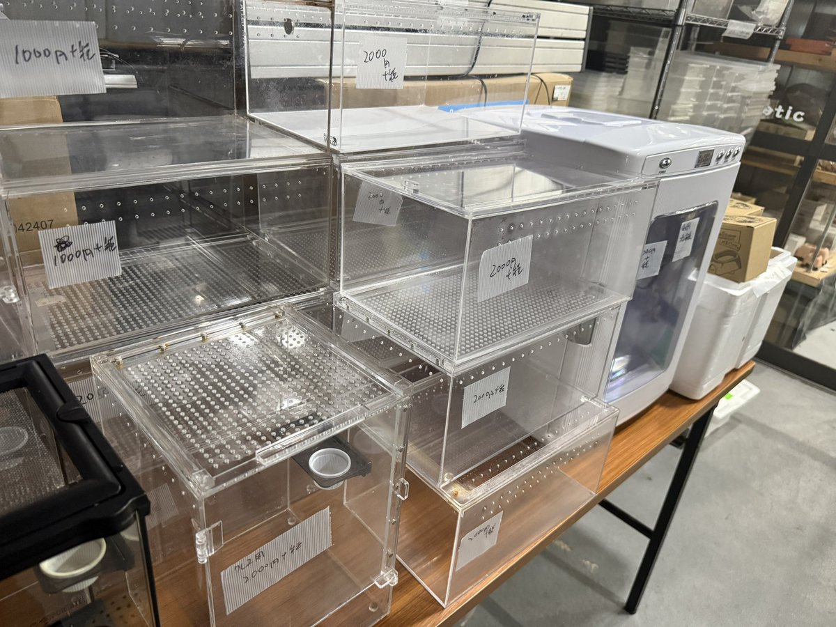 中古アクリルケースやシェルター大量に販売してます♪

店頭引き取り限定
ノークレームノーリターンでお願いします🤲

古物(第62227r056343号)