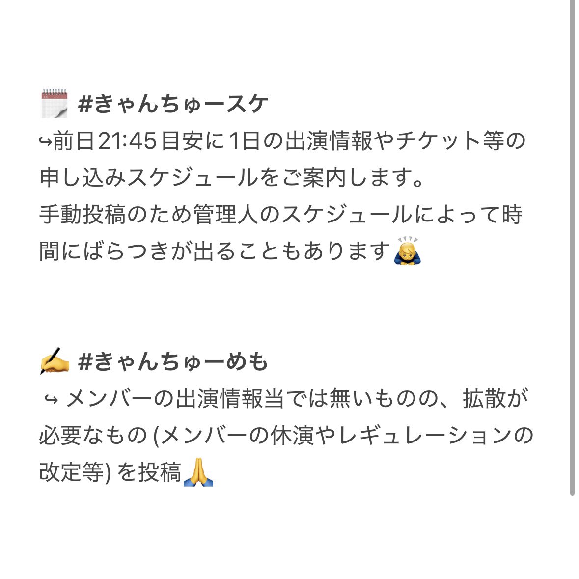 きゃんちゅーめも【非公認】 tweet media