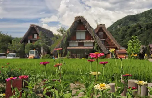 日本の田舎のおとぎ話の世界に足を踏み入れましょう！茅葺き屋根の家々と色とりどりの花畑が組み合わさって、まるで絵画のように美しいです。