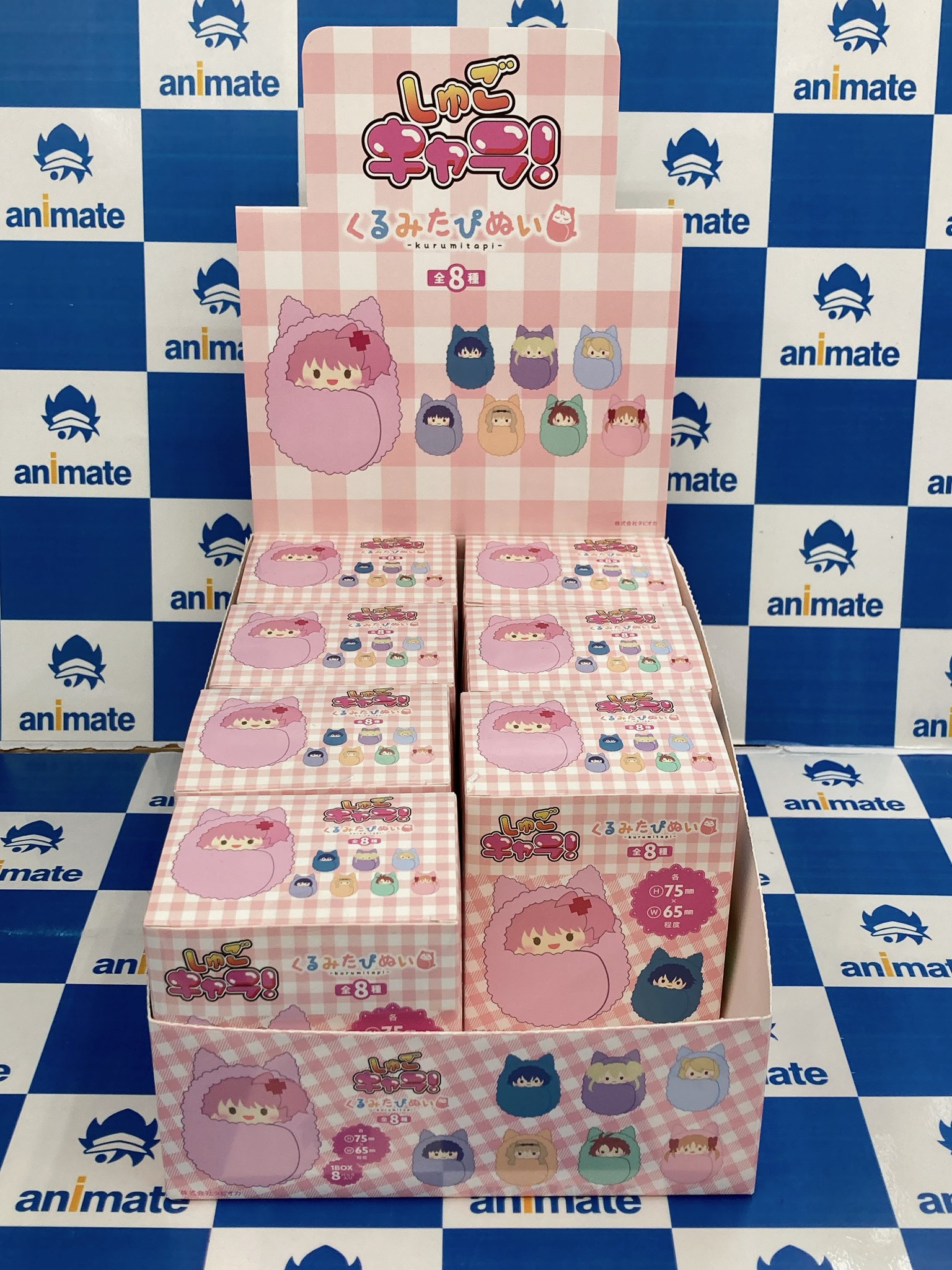 アニメイト川崎 on X: アニメイト川崎 on X: