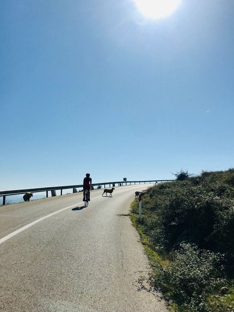 KarlAhlberg's tweet photo. Ett par bilder i stigningen från Elbasan mot Tirana, oktober 2019. Då var vägen avstängd för biltrafik och i dåligt skick. Gissar att den är renoverad och återöppnad nu?! Heja @vacchi - hoppas vi får ett fint Giro. ☺️ https://t.co/uRgeccBH1j